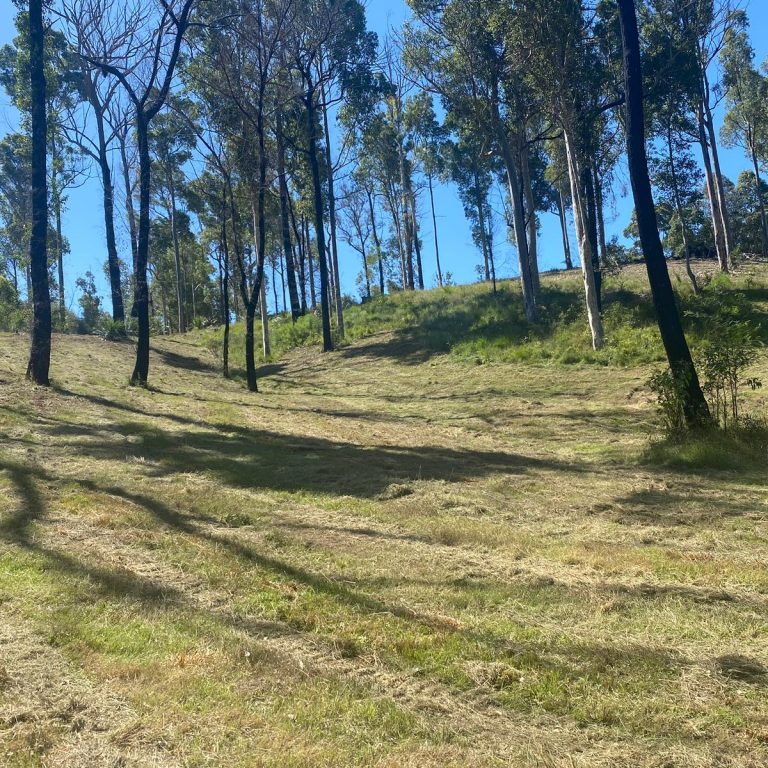 Tree stump removal Eurobodalla