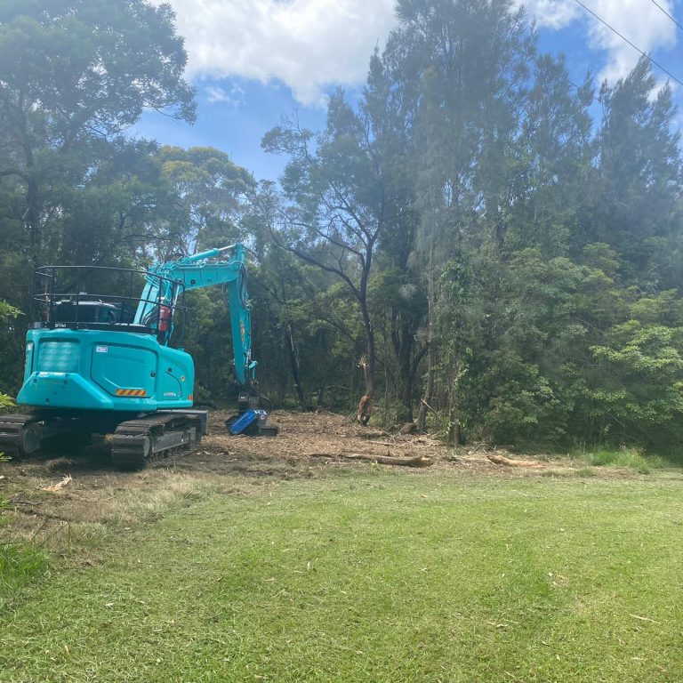 Tree stump removal Milton