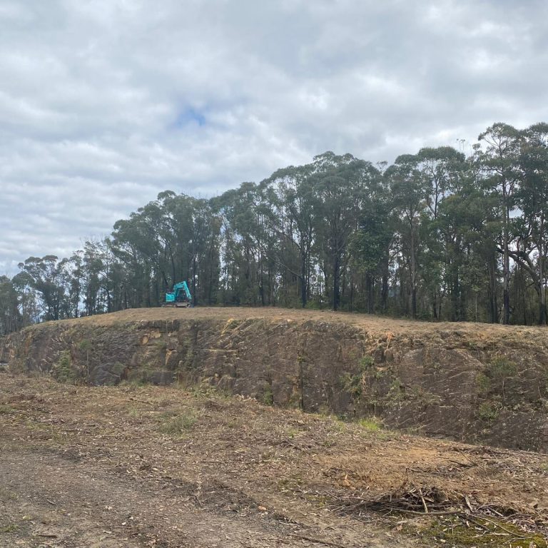 Tree stump removal Moruya