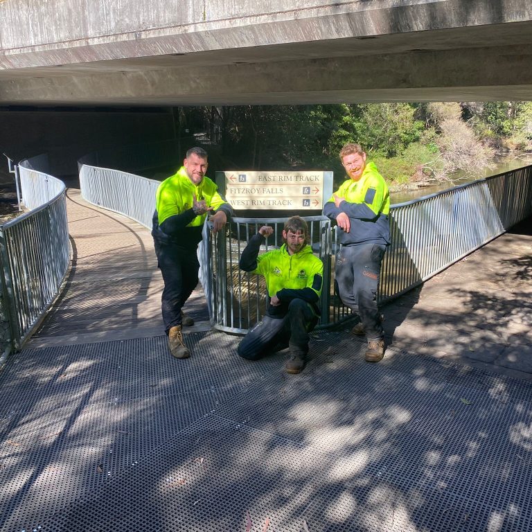 Tree Removalist South Coast