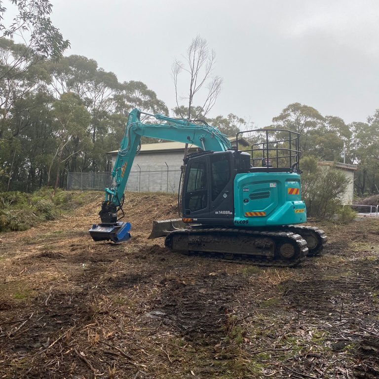 Tree Removalist Eurobodalla