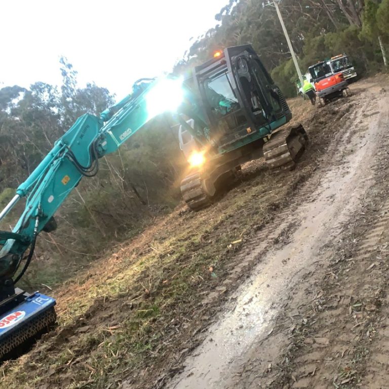 Tree Removalist Tuross Head
