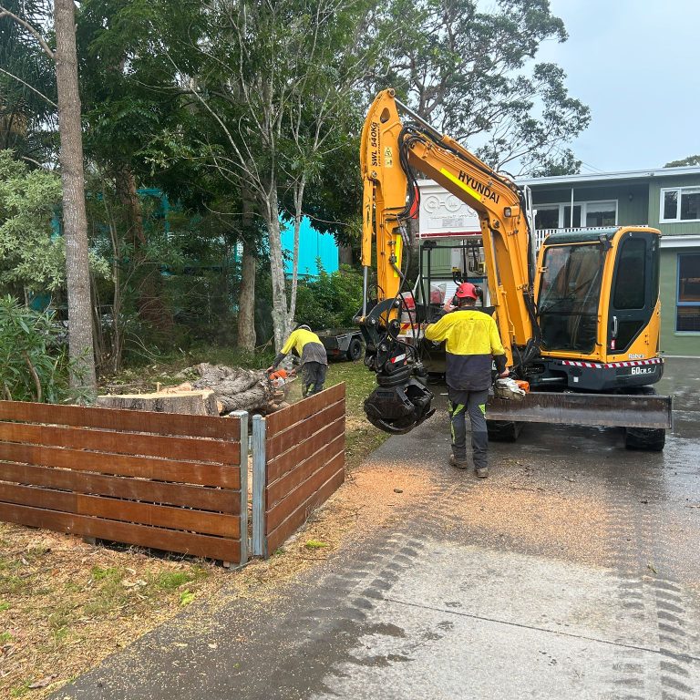 best Tree Removalist Tuross Head