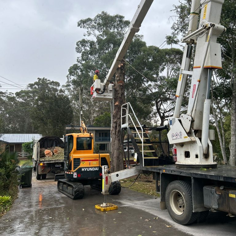 Tree stump grinding Ulladula