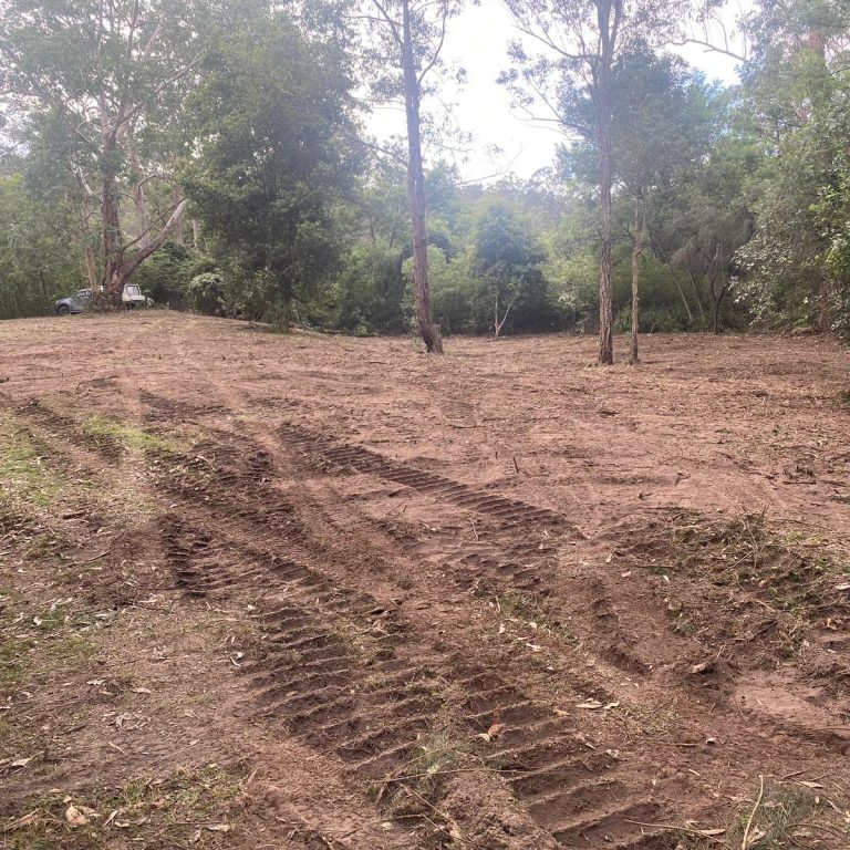Tree stump grinding Milton