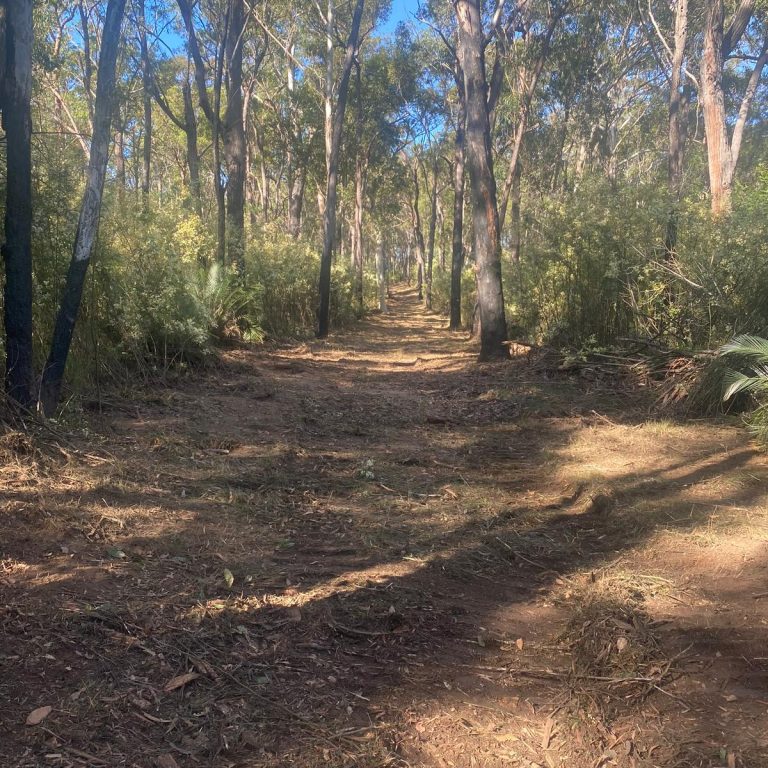 Tree stump removal Mollymook