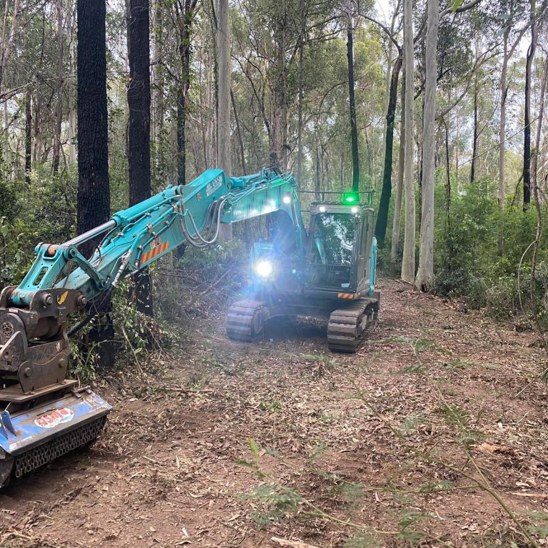 Tree stump removal South Coast